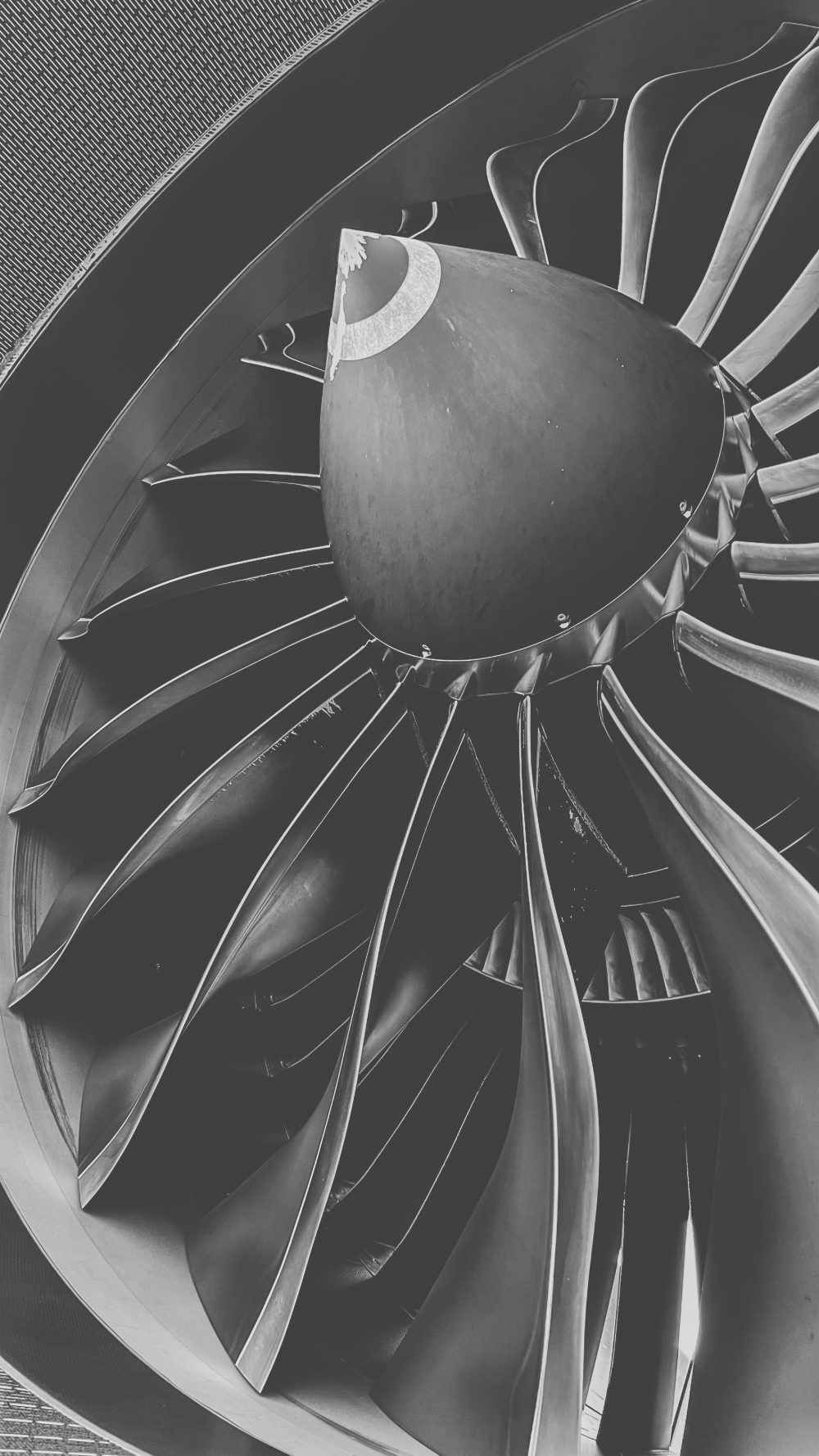 Turbofan fan blades